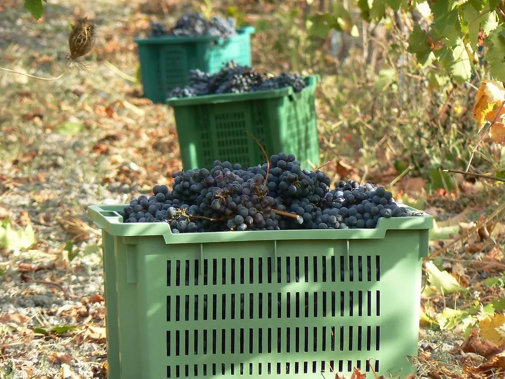 Pessighette Dimora Di Campagna Konuk evi Bosa Kır Evi