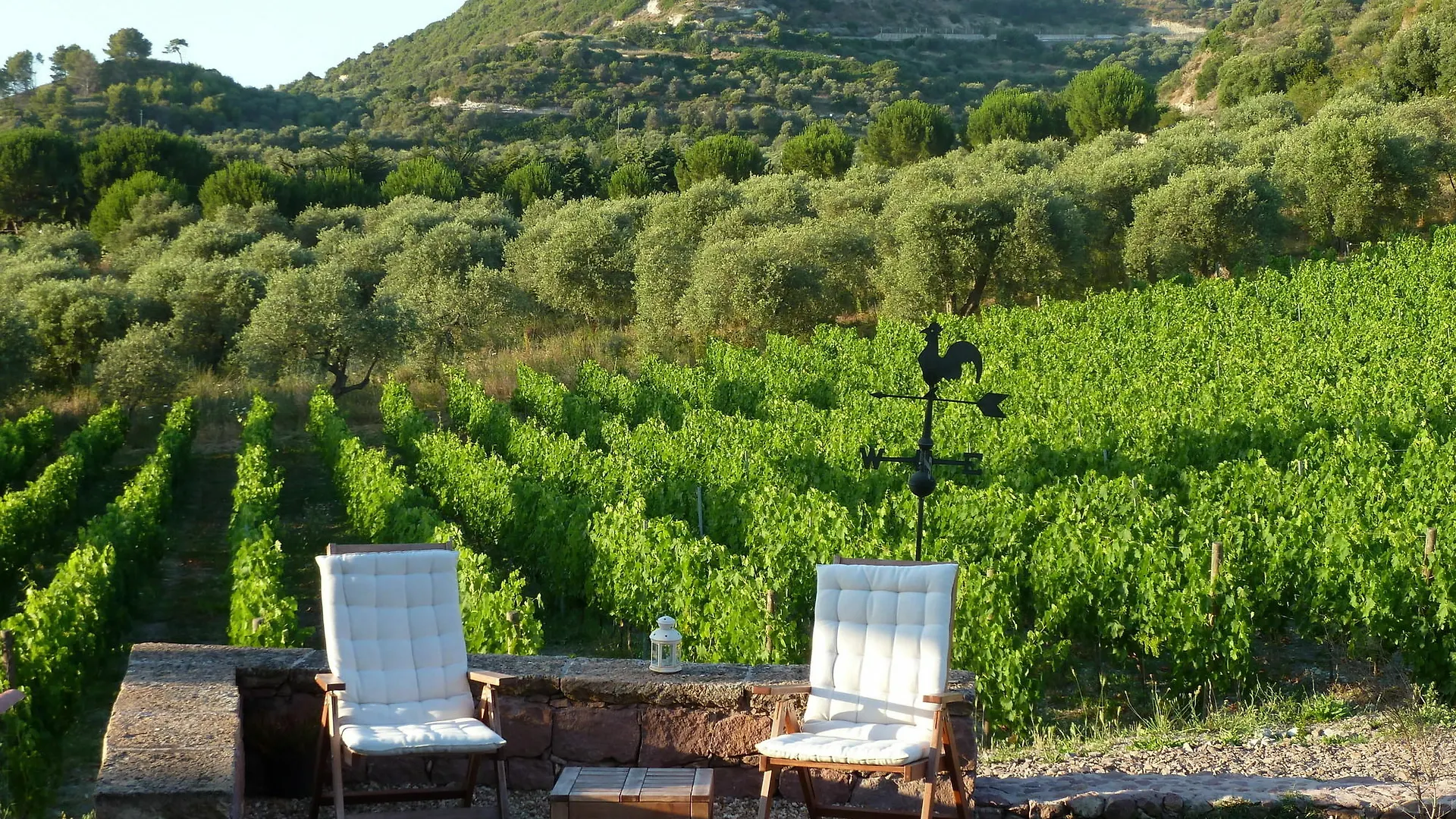 Kır Evi Pessighette Dimora Di Campagna Konuk evi Bosa İtalya