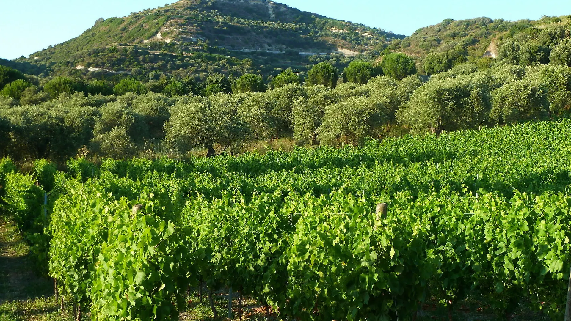 Kır Evi Pessighette Dimora Di Campagna Konuk evi Bosa